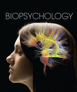 5 Divisi Utama yang Ada dalam Biopsikologi_